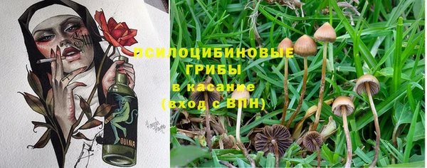 МДПВ Богородицк