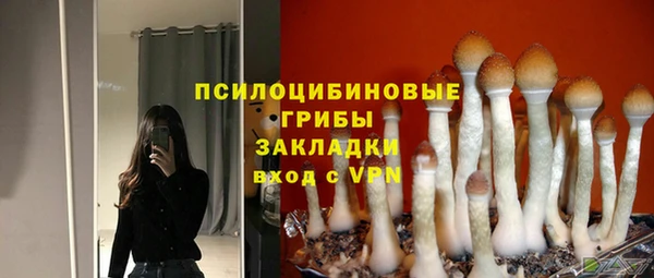 ешки Бугульма