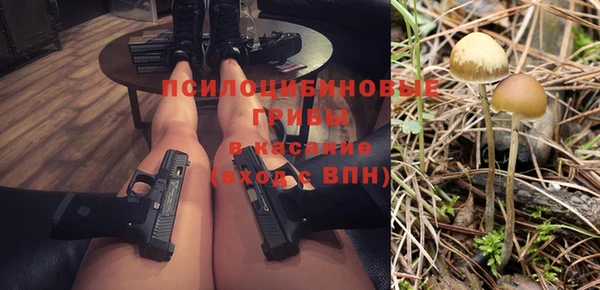 сатива Богородск