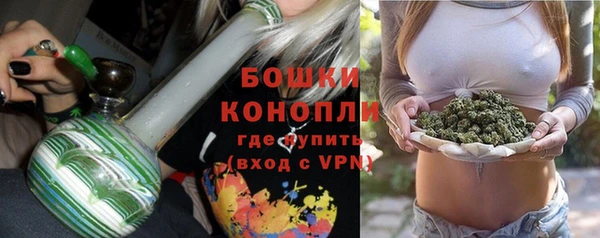 МДПВ Богородицк