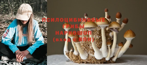 кокаин перу Богданович