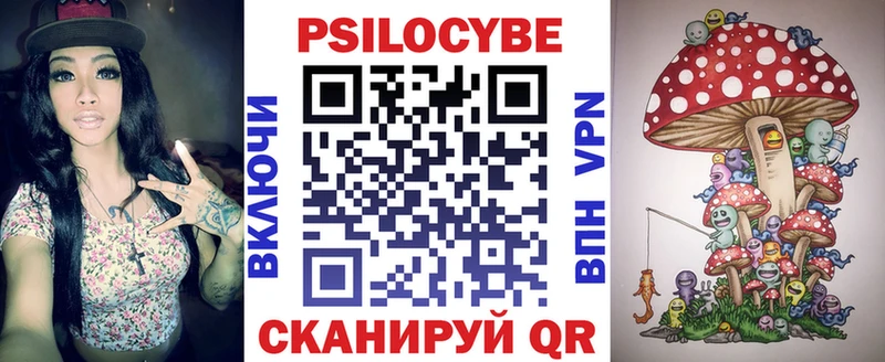 Купить где  Грязи  Галлюциногенные грибы Cubensis 